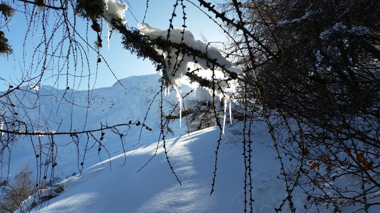Apartmán Haus Ursula Kals-am Großglockner Exteriér fotografie
