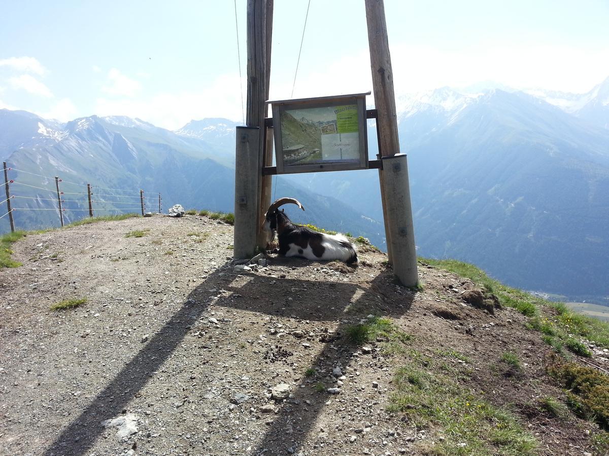 Apartmán Haus Ursula Kals-am Großglockner Exteriér fotografie